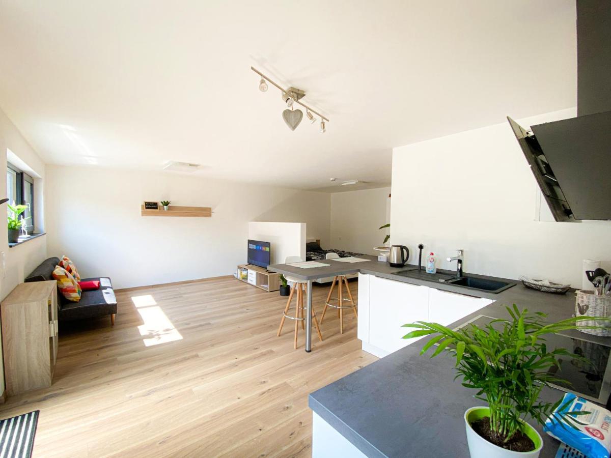 Ferienwohnung Vergissmeinnicht Gengenbach Esterno foto